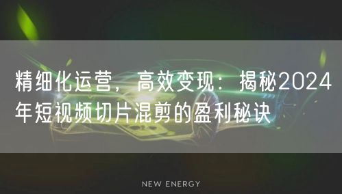 精细化运营，高效变现：揭秘2024年短视频切片混剪的盈利秘诀(图1)